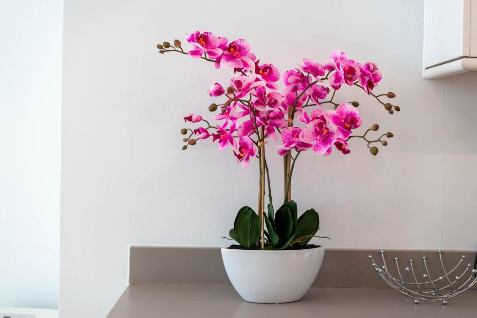 런던 Guestready - Stunning Covent Garden 2Br Duplex 아파트 외부 사진